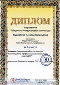 Диплом победителя Международной Олимпиады за I место